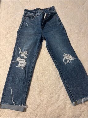 Express Distressed Jeans in Dark Blue